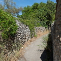 Le Puech du Buis