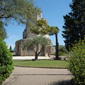 Vieille tour romaine et végétation