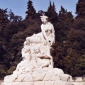Nymphe coloriée