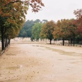 Allées