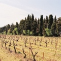 Chemin vers le Mas de Valdebane