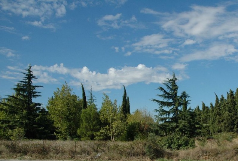 2005_09_18_Route_d_Arles_009.JPG