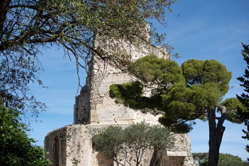 Azérolier au pied de la tour