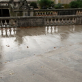 Au nymphée après la pluie