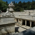 Nymphée sans eau (1405 visites) Nymphée sans eau