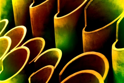 Bonasses et familières