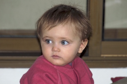 2009 12 25 DSC 6781