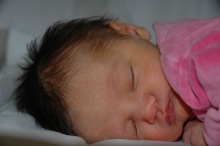 2009 01 01 DSC 6574