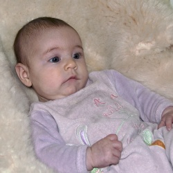 2010