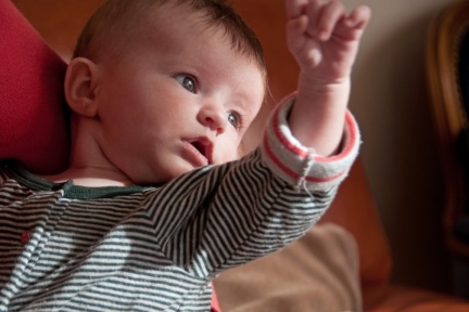 Isabelle